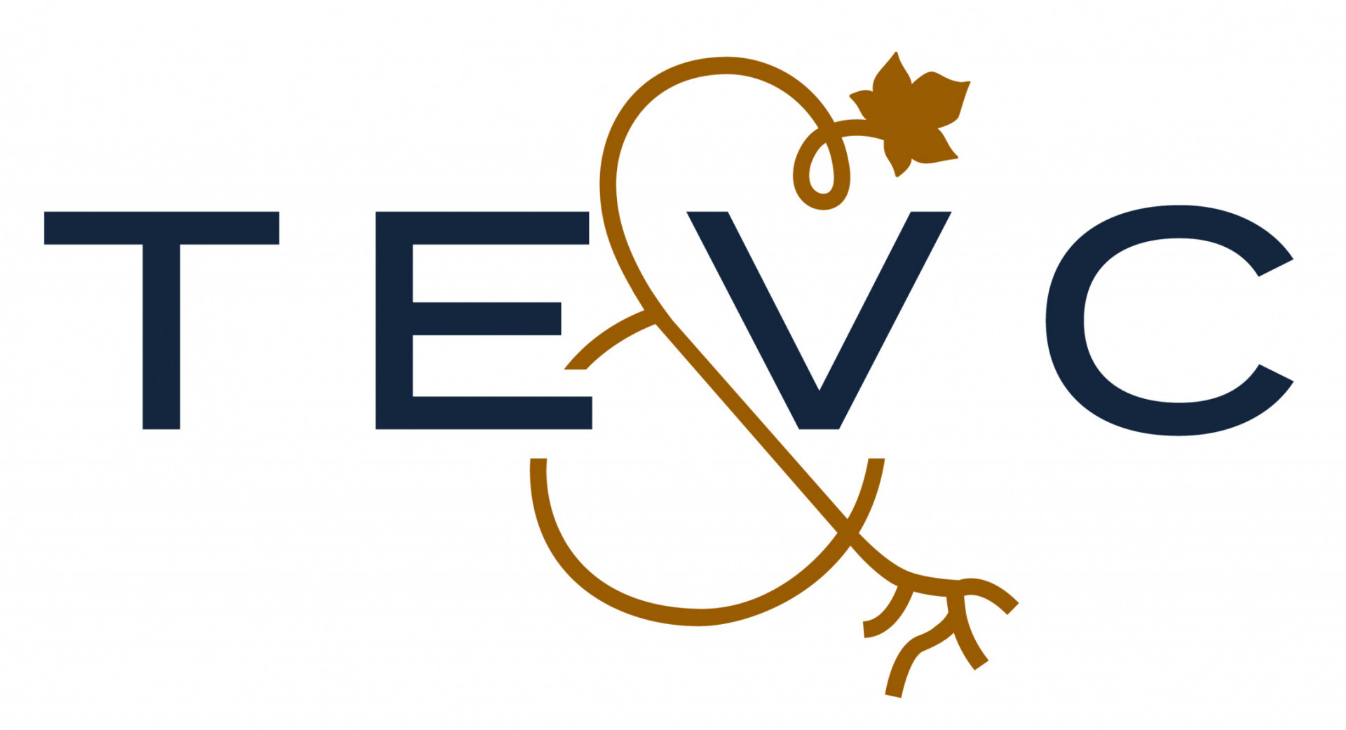 TERROIRS ET VIGNERONS DE CHAMPAGNE